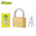 Замок навесной латунный 50 мм DYLLU DTPD1450 Замок навесной латунный 50 мм DYLLU DTPD1450