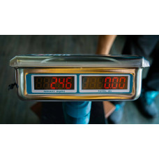 Весы электронные напольные TOTAL TES1202